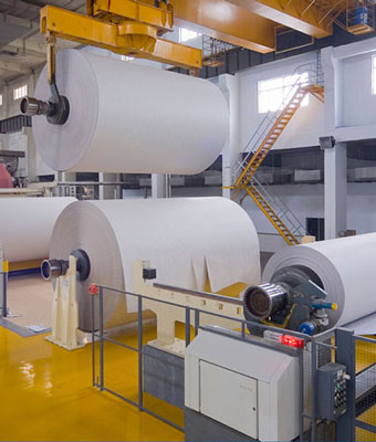 Pulp and Paper Industry