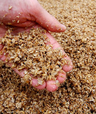 Dewatering Spent Grain