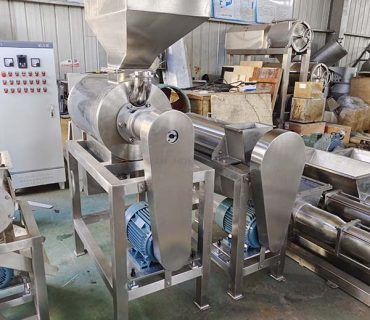 Industrial Juicer Machine to New Zealand