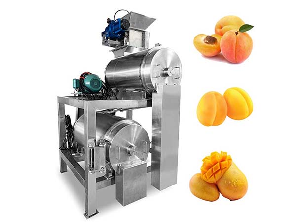 MDJ Fruit Pulp Machine