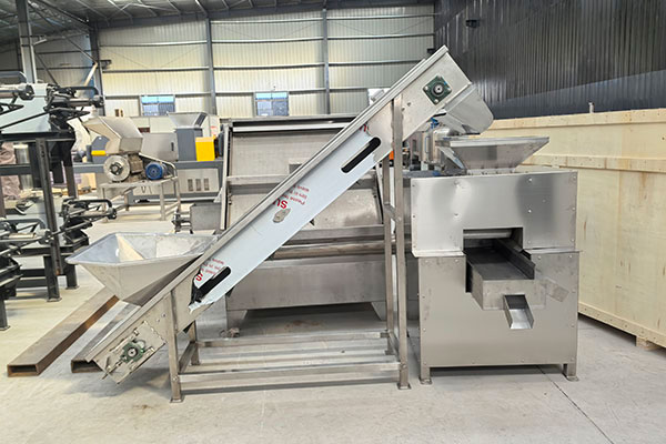 DGJ-300-Citrus-Juicer