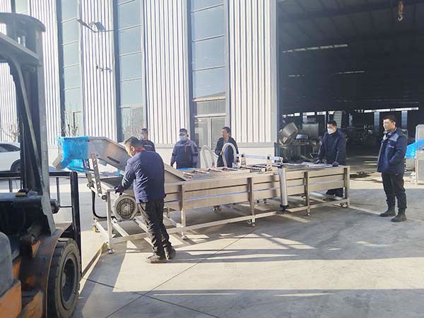 Fruit Washing Machine to Colombia